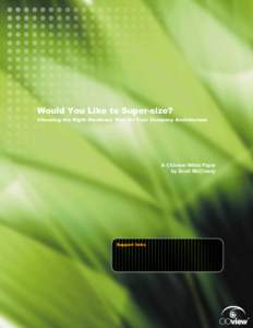 Choosing the Right Hardware Size for Your Company Architecture  Would You Like to Super-size? Choosing the Right Hardware Size for Your Company Architecture  A CIOview White Paper