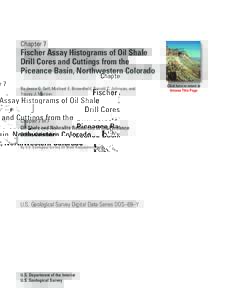 Chapter 7  Fischer Assay Histograms of Oil Shale Drill Cores and Cuttings from the Piceance Basin, Northwestern Colorado By Jesse G. Self, Michael E. Brownfield, Ronald C. Johnson, and