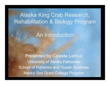 Alaska King Crab Research, Rehabilitation & Biology Program An Introduction Presented by Celeste Leroux University of Alaska Fairbanks