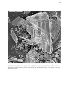 -19-  Figure 7A. Scanning electron micrograph of chrysotile fibers in a hand sample collected from the “L”-shaped residential road where it intersects a public county road 4.5 km northeast of the Garden Valley Quarry