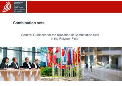 Combination sets General Guidance for the allocation of Combination Sets in the Polymer Field Outline
