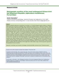 Mongabay.com Open Access Journal - Tropical Conservation Science Vol.7 (4):[removed], 2014  Research Article Phylogenetic position of the most endangered Chilean bird: the Masafuera Rayadito (Aphrastura masafuerae;