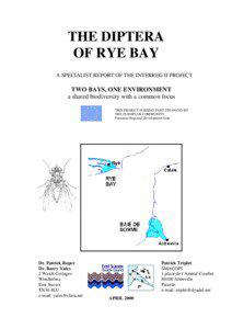 THE DIPTERA OF RYE BAY A SPECIALIST REPORT OF THE INTERREG II PROJECT
