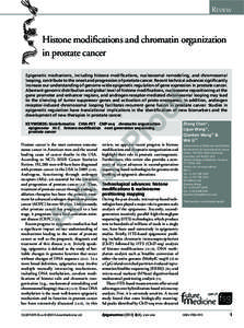 Epigenomics / Histone H3 / Nucleosome / Histone deacetylase inhibitor / Histone / DNA methylation / Regulation of gene expression / ChIA-PET / Cellular differentiation / Biology / Genetics / Epigenetics