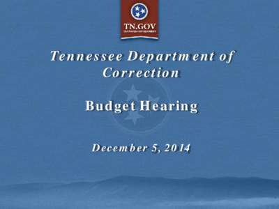 Tennessee Department of Correction Budget Hearing December 5, 2014  Customer-Focused Government Goals
