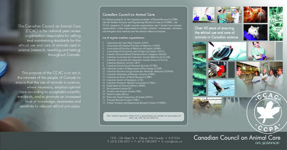 Canadian Council on Animal Care  The Canadian Council on Animal Care (CCAC) is the national peer review organization responsible for setting and maintaining standards for the