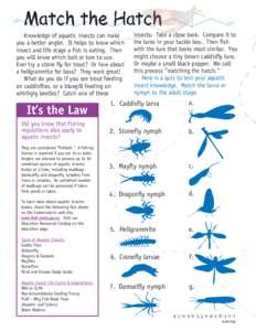 Knowledge of aquatic insects can make you a better angler. It helps to know which insect and life stage a fish is eating. Then you will know which bait or lure to use. Ever try a stone fly for trout? Or how about a hellg