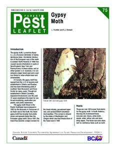 Agricultural pest insects / Pollinators / Lymantriidae / Gypsy moth / Pest control / Pheromone trap / Moth / Caterpillar / Gypsy moths in the United States / Lepidoptera / Agriculture / Phyla