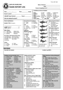 Great white shark / Fish / Sharks / Outline of sharks
