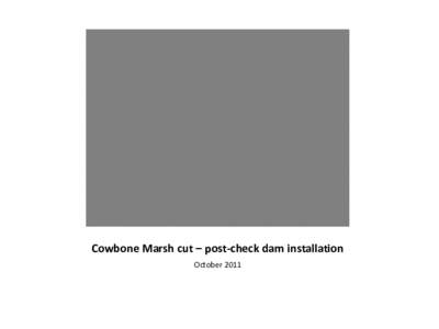 Cowbone Marsh cut – pre-check dam installation