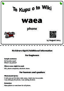 waea phone 25 AugustHe körero täpiri/Additional information