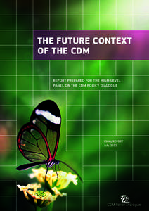 THE FUTURE CONTEXT OF THE CDM REPORT PREPARED FOR THE HIGH-LEVEL PANEL ON THE CDM POLICY DIALOGUE  FINAL REPORT