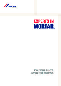 EDUCATIONAL GUIDE TO INTRODUCTION TO MORTAR