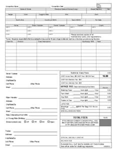 Equestrianism / Hunt seat / Saddle seat / United States Dressage Federation / United States Equestrian Federation / Sports / Dressage / Recreation