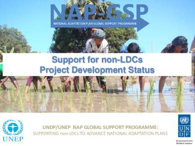 Support for non-LDCs Project Development Status UNDP/UNEP NAP GLOBAL SUPPORT PROGRAMME: SUPPORTING non-LDCs TO ADVANCE NATIONAL ADAPTATION PLANS