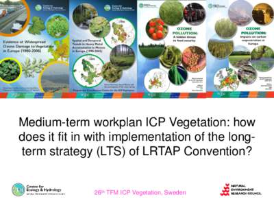 Medium-term workplan ICP Vegetation: how does it fit in with implementation of the longterm strategy (LTS) of LRTAP Convention? 26th TFM ICP Vegetation, Sweden  Priorities implementation LTS