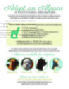 Adopt an Alpaca at Outstanding Dreams Farm Experience the wonderful world of alpacas with our Adopt an Alpaca program, which offers you the ability to “adopt” the alpaca of your choice for a year.