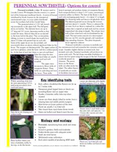 PERENNIAL SOWTHISTLE: Options for control Perennial sowthistle, a class - B noxious weed in Lincoln County, Washington (Sonchus arvensis.), is a perennial of the Asteraceae (sunflower) family. A native of Europe introduc