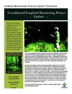 L OW E R M I S S I S S I P P I V A L L E Y J O I N T V E N T U R E  Coordinated Songbird Monitoring Project - Update The Lower Mississippi Valley Joint Venture is a self-directed, nonregulatory private, state,