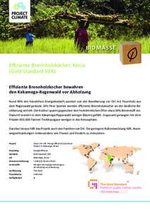 BioMaSSe Effiziente Brennholzkocher, Kenia (Gold Standard VER) effiziente Brennholzkocher bewahren den kakamega-regenwald vor abholzung Rund 90% des häuslichen Energiebedarfs werden von der Bevölkerung vor Ort mit Feue