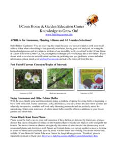 UConn Home & Garden Education Center Knowledge to Grow On! www.ladybug.uconn.edu APRIL is for Anemones, Planting Alliums and All America Selections! Hello Fellow Gardeners! You are receiving this email because you have p