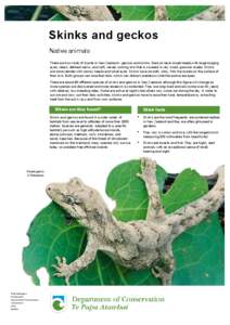 Skinks and geckos: conservation revealed: publications