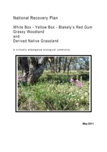 National Recovery Plan for White Box–Yellow Box–Blakely’s Red Gum Grassy Woodland and Derived Native Grassland