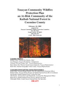 Tusayan Community Wildfire Protection Plan an At-Risk Community of the Kaibab National Forest in Coconino County February 24, 2005