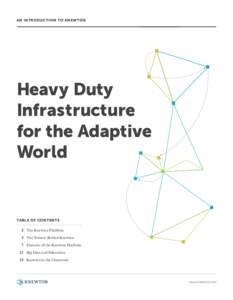 AN INTRODUCTION TO KNEWTON  Heavy Duty Infrastructure for the Adaptive World