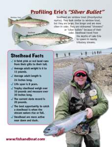 Profiling Erie’s“Silver Bullet” Rainbow Trout Steelhead  Steelhead are rainbow trout (Oncorhynchus