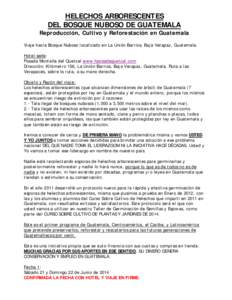 HELECHOS ARBORESCENTES DEL BOSQUE NUBOSO DE GUATEMALA Reproducción, Cultivo y Reforestación en Guatemala Viaje hacia Bosque Nuboso localizado en La Unión Barrios, Baja Verapaz, Guatemala. Hotel sede: