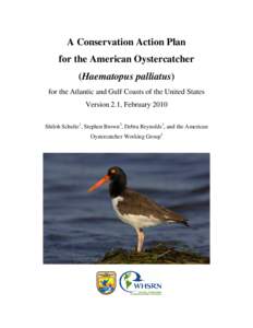 A Conservation Action Plan for the American Oystercatcher (Haematopus palliatus) for the Atlantic and Gulf Coasts of the United States Version 2.1, February 2010 Shiloh Schulte1, Stephen Brown2, Debra Reynolds3, and the 