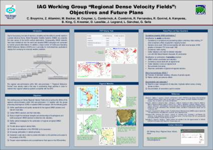 IGS AC Workshop June 2-6, 2008 Miami, US IAG Working Group “Regional Dense Velocity Fields”: Objectives and Future Plans