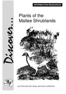 INFORMATION RESOURCES  Plants of the Mallee Shrublands  AUSTRALIAN NATIONAL BOTANIC GARDENS