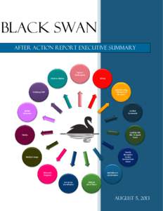 Black Swan After action report Executive Summary 