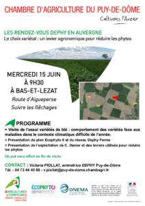 LES RENDEZ-VOUS DEPHY EN AUVERGNE  Le choix variétal : un levier agronomique pour réduire les phytos MERCREDI 15 JUIN À 9H30