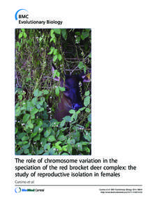 The role of chromosome variation in the speciation of the red brocket deer complex: the study of reproductive isolation in females