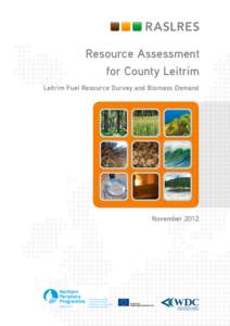 Resource Assessment for County Leitrim Leitrim Fuel Resource Survey and Biomass Demand November 2012