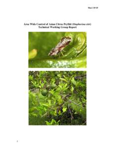 Jumping plant louse / Diaphorina citri / Huanglongbing / Candidatus Liberibacter / Diaphorina / Botany / Orange / Citrus / Biological pest control / Psylloidea / Agriculture / Microbiology