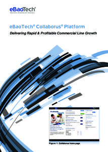 Collaborus brochure- EN -p1, Mar 11