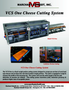 VCS One Cheese Cutting System  Model VCS One Guillotine Portion Cutting