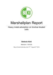    Marshallplan Report  Heavy metal adsorption on biochar-treated soils 