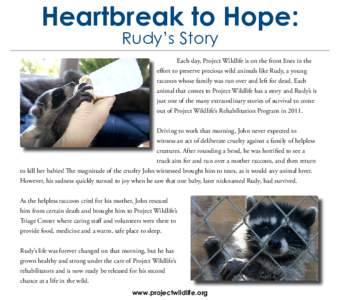 Heartbreak to Hope: Rudy’s Story Each day, Project Wildlife is on the front lines in the effort to preserve precious wild animals like Rudy, a young raccoon whose family was run over and left for dead. Each