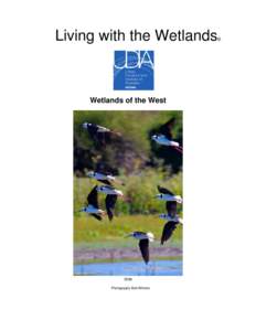 Living with the Wetlands  © Wetlands of the West
