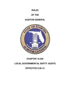 RULES OF THE AUDITOR GENERAL CHAPTER[removed]LOCAL GOVERNMENTAL ENTITY AUDITS