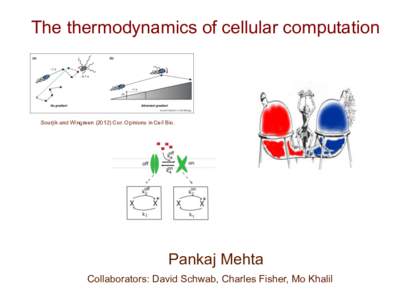 The thermodynamics of cellular computation  Sourjik and WingreenCur. Opinions in Cell Bio. Pankaj Mehta Collaborators: David Schwab, Charles Fisher, Mo Khalil