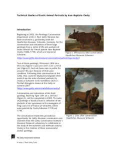 Technical Studies of Exotic Animal Portraits by Oudry