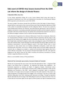 Side event at COP20: How lessons learned from the CDM can inform the design of climate finance 2 December 2014, Lima, Peru As the climate negotiations kicked off in Lima, Carbon Market Watch along with Center for Interna