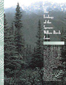 The Ecology of the Spruce- Willow-Birch Zone