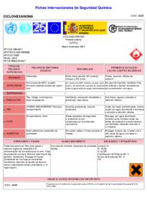 Nº CAS[removed]International Chemical Safety Cards (WHO/IPCS/ILO)